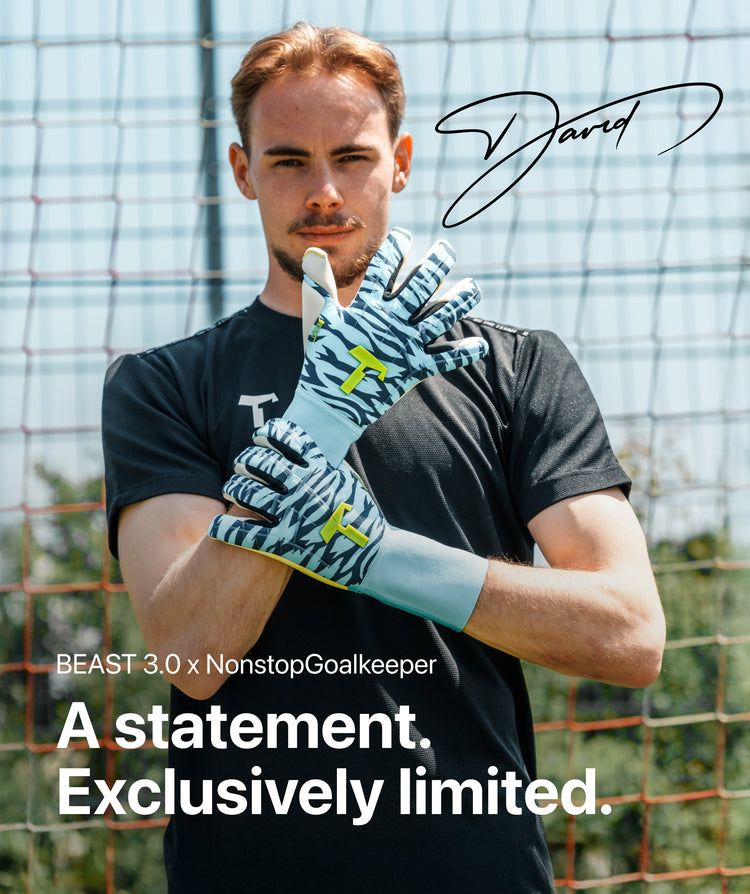 GIBOUS×GALFY SNAKE DOG DAMAGE TRAINER Gecko Replacement Gaffs | TreeStuff